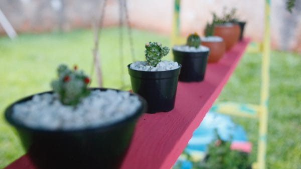 How to Create Website for Plant Nursery Telugu Video Course